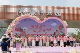 襄阳首个公园式结婚登记中心投入使用图片