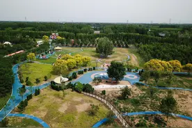 初夏周末去那里玩？济南鲜花港有动物乐园和草地水杉林图片