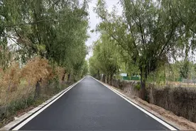 村民的致富路幸福路 一条产业路背后的公益脉络图片