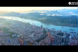 “县”在出发——行走百县话振兴丨黄皮熟了！岭南佳果造就富民兴村产业梦图片