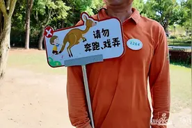 游客被袋鼠暴揍！上海野生动物园：严格筛选“营业”袋鼠图片
