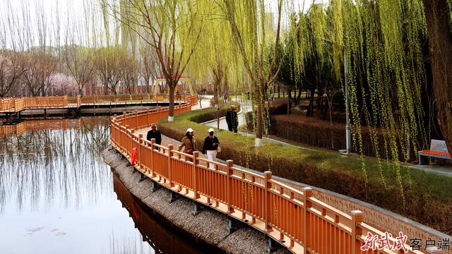 组图丨凉州植物园：春色满园关不住