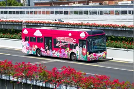乘“花车”畅游月季花廊 成都二环高架“空中花园”主题公交上线图片
