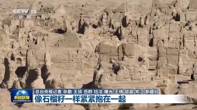 新思想引领新征程丨像石榴籽一样紧紧抱在一起