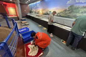 20多年来首次！国家自然博物馆古爬厅升级改造更名图片