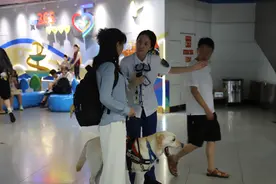 导盲犬出行记：坐地铁邂逅人间大爱图片