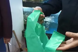 犇犇帮帮团丨海鲜称重暗藏猫腻！218元买条鱼，塑料袋就花了20元图片