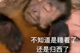 “吃相太难看”！周杰伦演唱会遭质疑，主办方回应图片