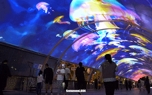 不愧是南山！深圳湾夜景彻底变了，光影艺术季来了