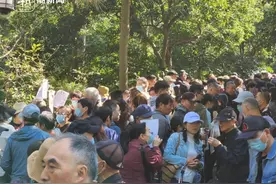 “小孩自己不积极，大人跑断腿” 今天的万松书院，人多得都走不动路图片