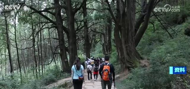 “冰雪+补贴”“彩林+温泉”“秋假+研学”齐发力 文旅市场激荡消费新活力