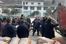 武都： 洛塘镇冬播洋芋开始试种啦图片