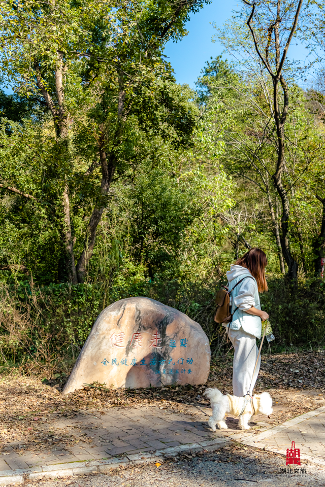 抓住晴天尾巴，徒步青龙山！