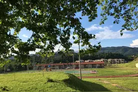 大田：矿山披新绿  转型闯新路图片