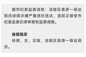 重庆涪陵区委原一级巡视员徐瑛接受审查调查图片
