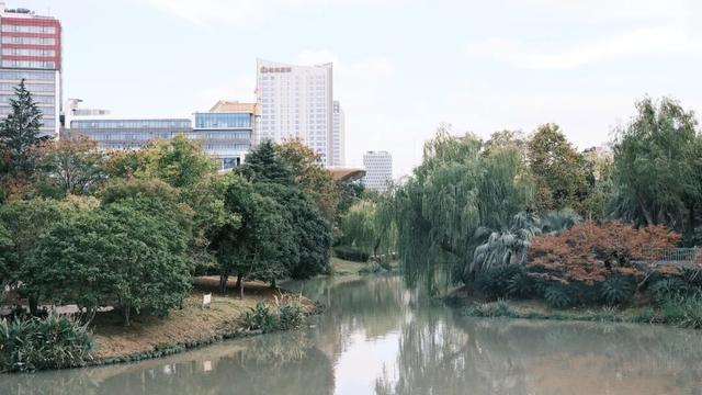 域见上海·域见奉贤｜奉浦秋日限定！这三条宝藏路线，承包所有秋日浪漫，刷爆朋友圈就靠它