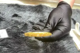 金价一路上涨，这样买更划算？业内人士这样说图片