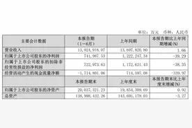 保利未能“保利”：归母净利降四成、经营现金流净额大幅下降图片