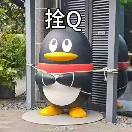 企鹅：这次台风真的拴Q了
