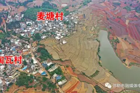 欢乐捕鱼，全村上阵！弥勒这个村太嗨了～图片