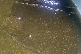 杭州网友晒你们吃过这个吗？名字很仙图片