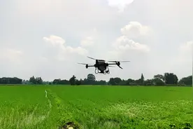 “黑科技”上新！无人机为农田做“CT”开“处方”图片