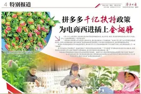 拼多多“千亿扶持”政策为电商西进插上“金翅膀”图片