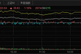 全数收涨！近5000只股飘红图片