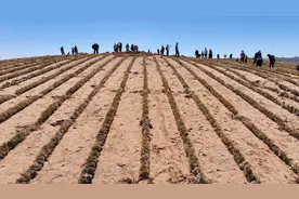 新华全媒+丨绿进沙退 中国“绿色长城”全面锁边腾格里沙漠东南缘图片