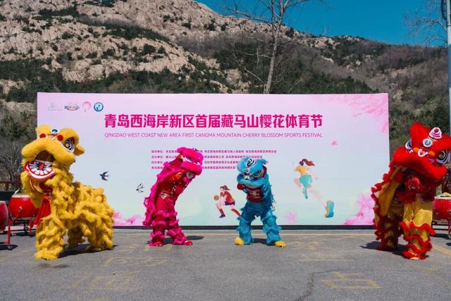 青岛藏马山解锁春日新玩法：樱花遇上体育，文旅融合点燃乡村活力