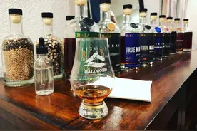 AI长“鼻子”，品酒师还能年薪百万吗？｜科技观察图片