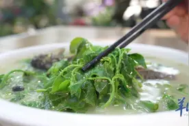 江门：四季物产丰饶 三餐美味佳肴图片