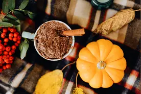 秋天丰收的果实图片