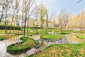 西安多领域发力 建设宜居宜业和美乡村图片