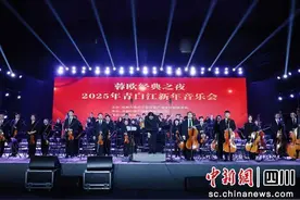 蓉欧经典之夜·2025新年音乐会举行图片