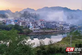 秋季湘西山珍怎么能少得了枞菌，既有美味也有趣味图片