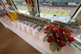 这些精品旅游列车马上开行！网友：选择困难症又犯了……图片