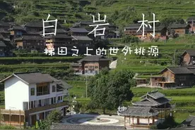 【高质量发展调研行】白岩村·梯田之上的世外桃源图片