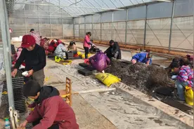 人勤春来早 备耕正当时图片