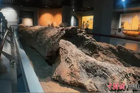 两岸诗人走进福建霞浦 感受海洋诗歌魅力图片