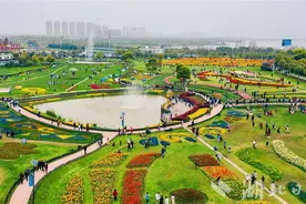 百万游客逛东湖 省博接待量创新高 武汉成为国内赏花热度最高目的地图片