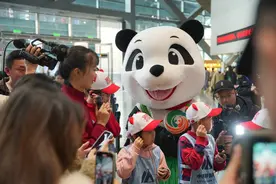 哈尔滨“小东北虎”开启四川之旅 首站遇上成都博物馆的“大犀牛”图片