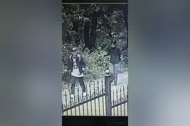 两男子徒步秦岭失联，官方：一人已找到送医，另一人仍在搜救图片