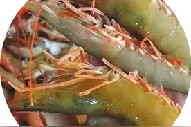 让特色优质农产品走向更大市场图片