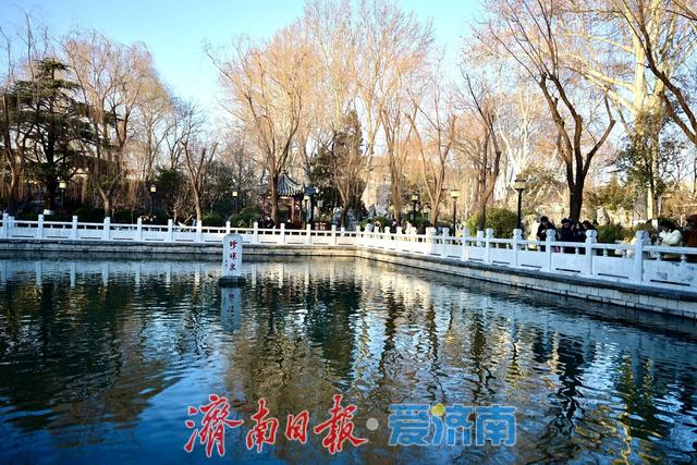 一年四季 泉在济南丨珍珠泉畔人气旺 游客打卡定格泉城冬日灵动之美