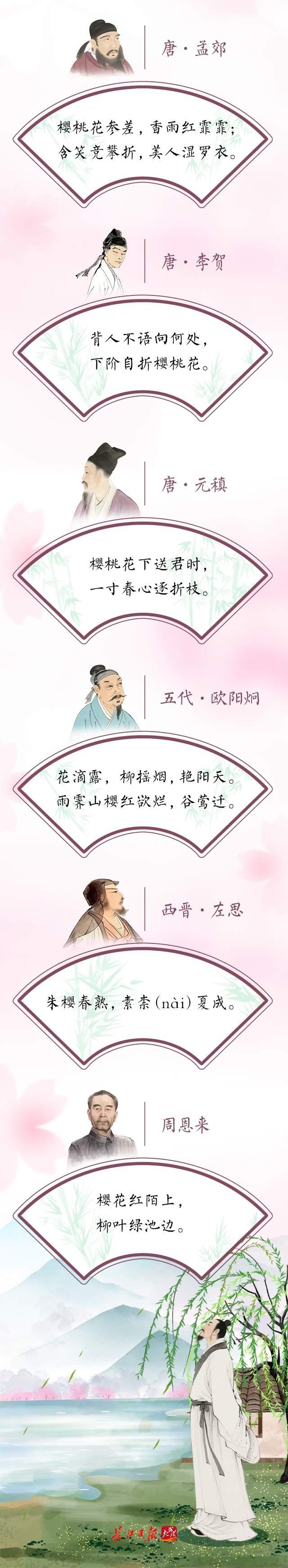 “超长春天”封神！中国樱花，彻底开爆