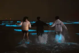 投掷石头赏玩“蓝眼泪”？福建平潭回应：举一反三 开展全域旅游品质提升攻坚实施行动图片