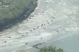 火上热搜！“五一”期间漓江景区“堵船”像“东吴水军出击”，景区工作人员回应图片