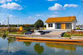 看，树洞里钻出了“小动物”！青浦首条树洞彩绘步道来了~图片