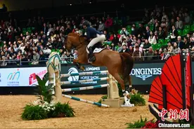 首届浪琴香港国际马术盛典闭幕 将于2026年重临香港图片